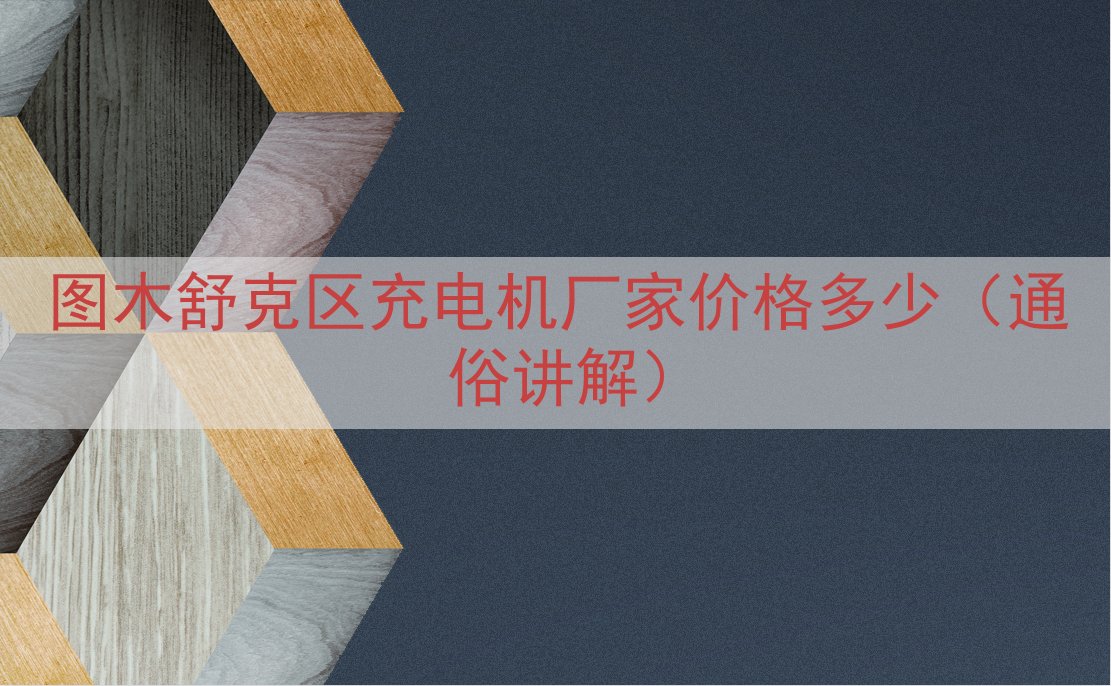 图木舒克区充电机厂家价格多少（通俗讲解）