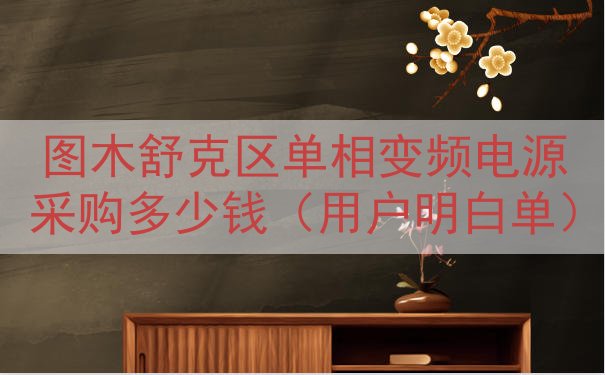 图木舒克区单相变频电源采购多少钱（用户明白单）