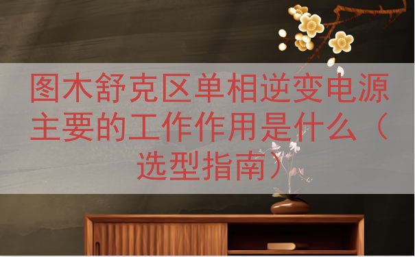 图木舒克区单相逆变电源主要的工作作用是什么（选型指南）
