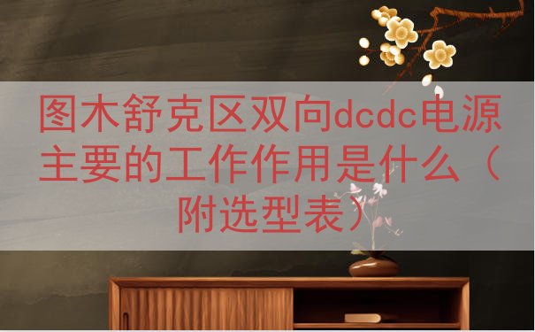 图木舒克区双向dcdc电源主要的工作作用是什么（附选型表）
